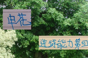 申花进球能力中超第四 但外援没一个进射手前10 真是内援带外援踢